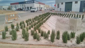 Balsas de infiltración de pluviales en polígono Capsades