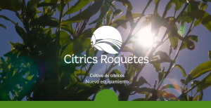 Renovación de la maquinaria agrícola:  Eficiencia y sostenibilidad